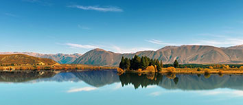 荣耀之争：各支球队敢问谁是强者？